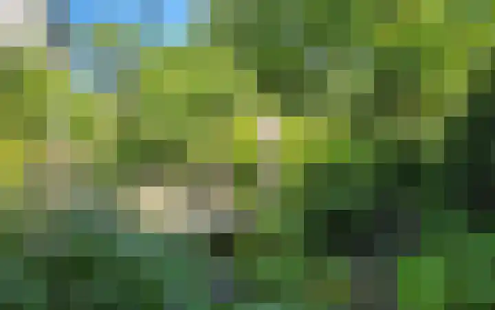 Baron van Brakelllaan 3 Doorwerth thumbnail 21