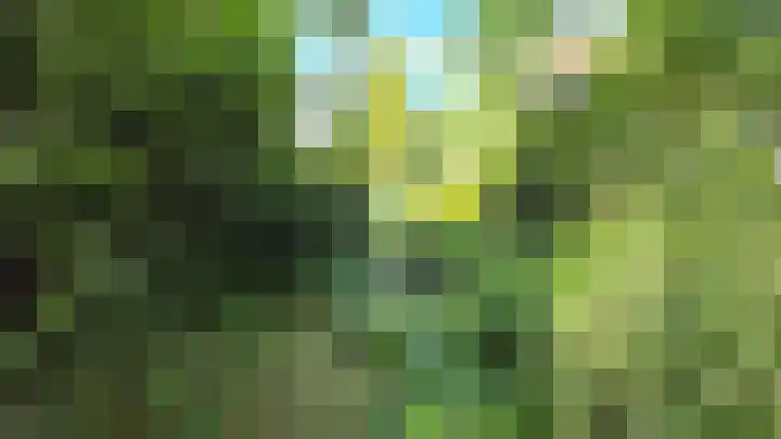 Baron van Brakelllaan 3 Doorwerth thumbnail 23