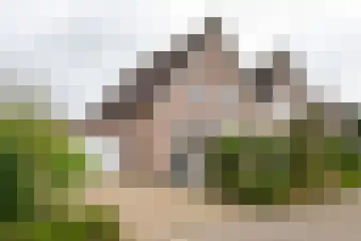 Baron van Brakellstraat 15 in Rijswijk (GLD)