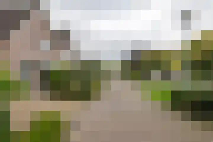 Baron van Brakellstraat 15 Rijswijk (GLD) thumbnail 32