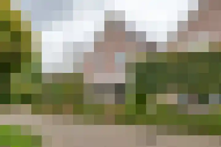 Baron van Brakellstraat 15 Rijswijk (GLD) thumbnail 33