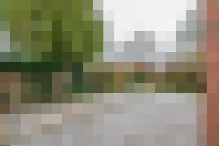 Baron van Brakellstraat 25 Rijswijk (GLD) thumbnail 13