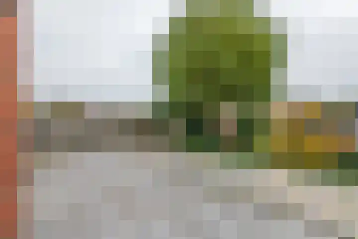 Baron van Brakellstraat 25 Rijswijk (GLD) thumbnail 5