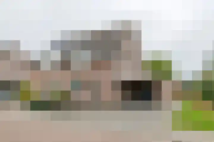 Baron van Brakellstraat 25 Rijswijk (GLD) thumbnail 7