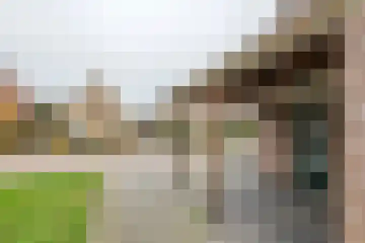 Baron van Brakellstraat 25 Rijswijk (GLD) thumbnail 8
