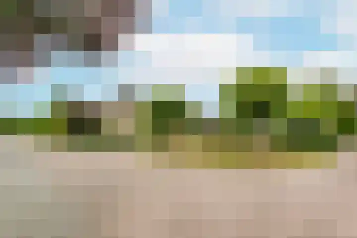Baron van Brakellstraat 5 Rijswijk (GLD) thumbnail 38