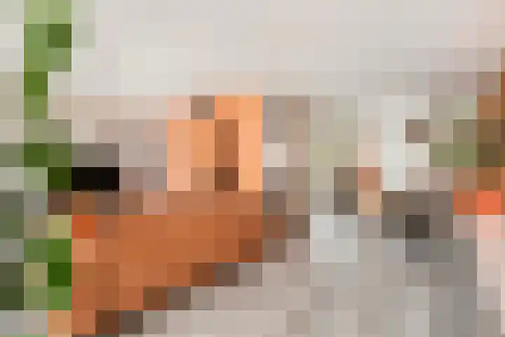 Baron van Brakellstraat 5 Rijswijk (GLD) thumbnail 5