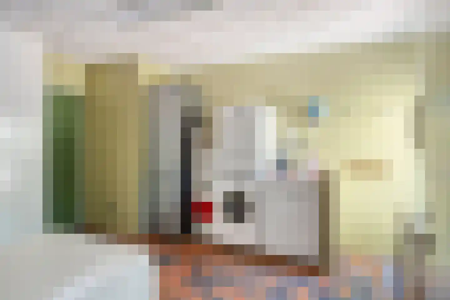 Baron van den Bogaerdelaan 6 Heeswijk-Dinther thumbnail 17