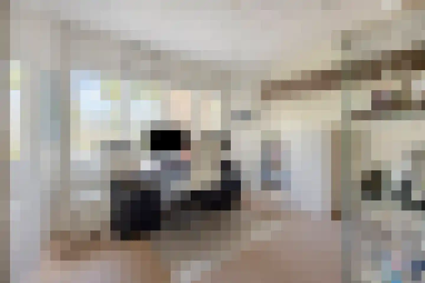 Baron van den Bogaerdelaan 6 Heeswijk-Dinther thumbnail 32