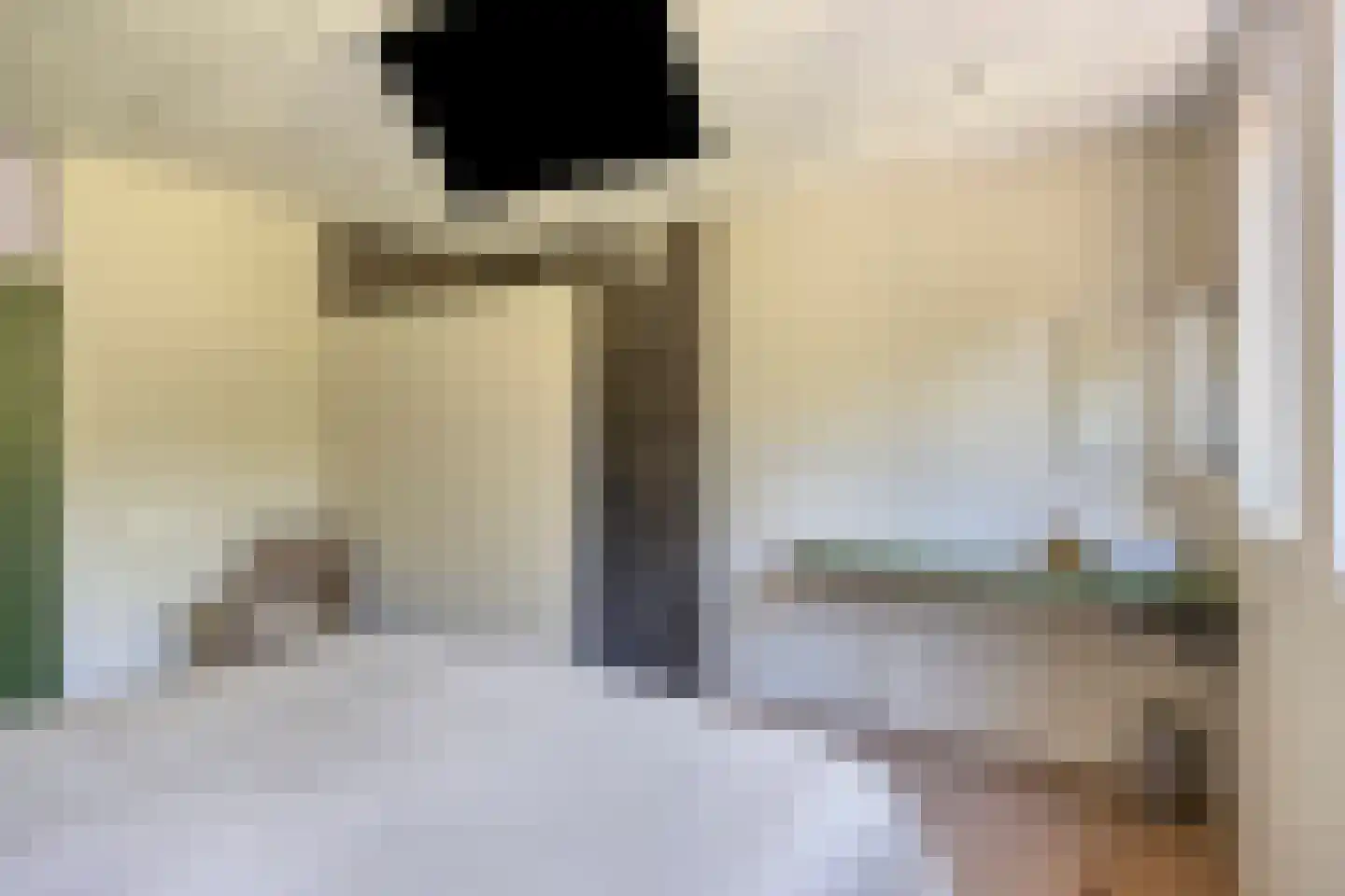 Baron van den Bogaerdelaan 6 Heeswijk-Dinther thumbnail 37
