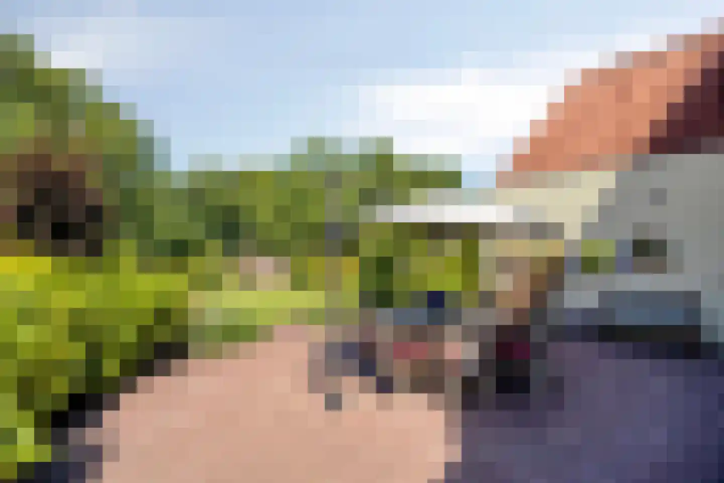 Baron van den Bogaerdelaan 6 Heeswijk-Dinther thumbnail 47
