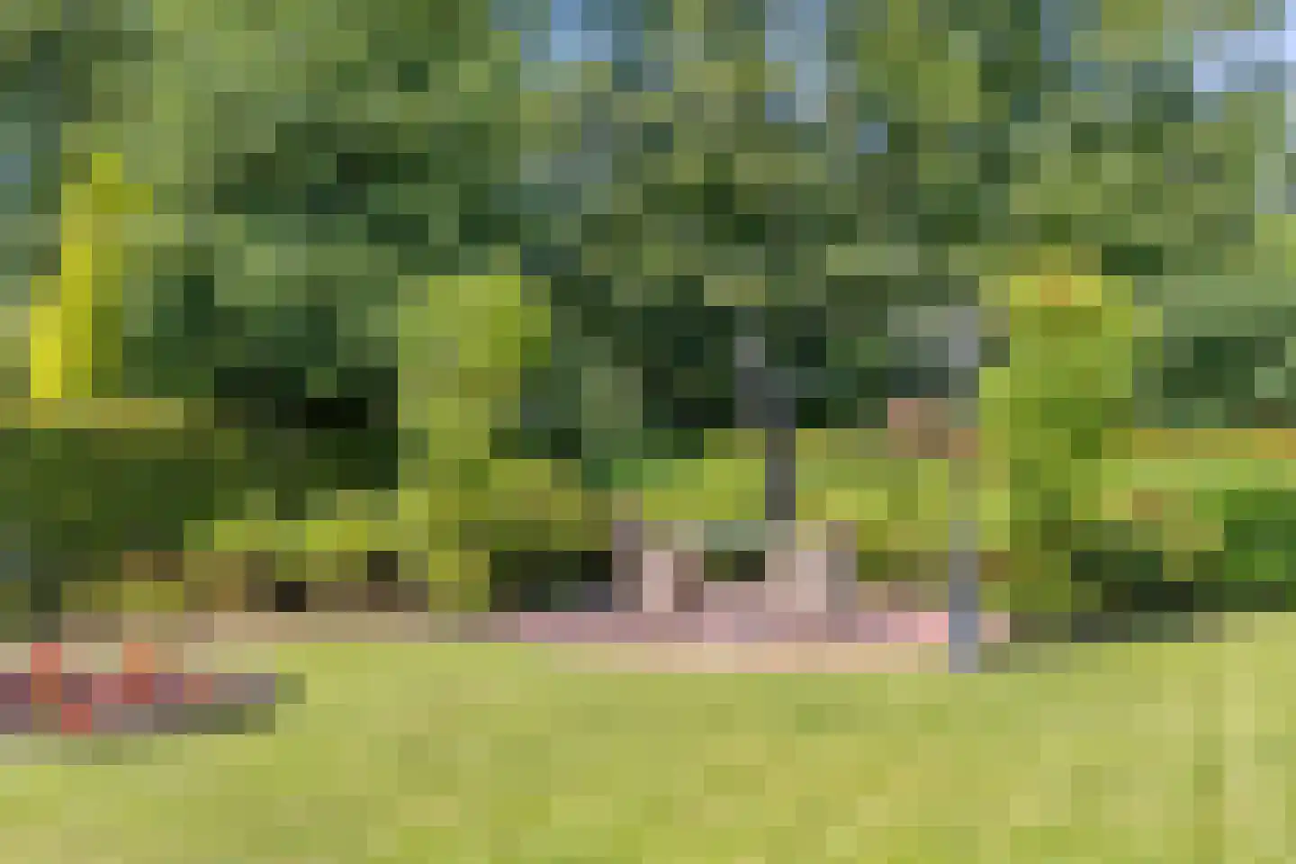 Baron van den Bogaerdelaan 6 Heeswijk-Dinther thumbnail 51