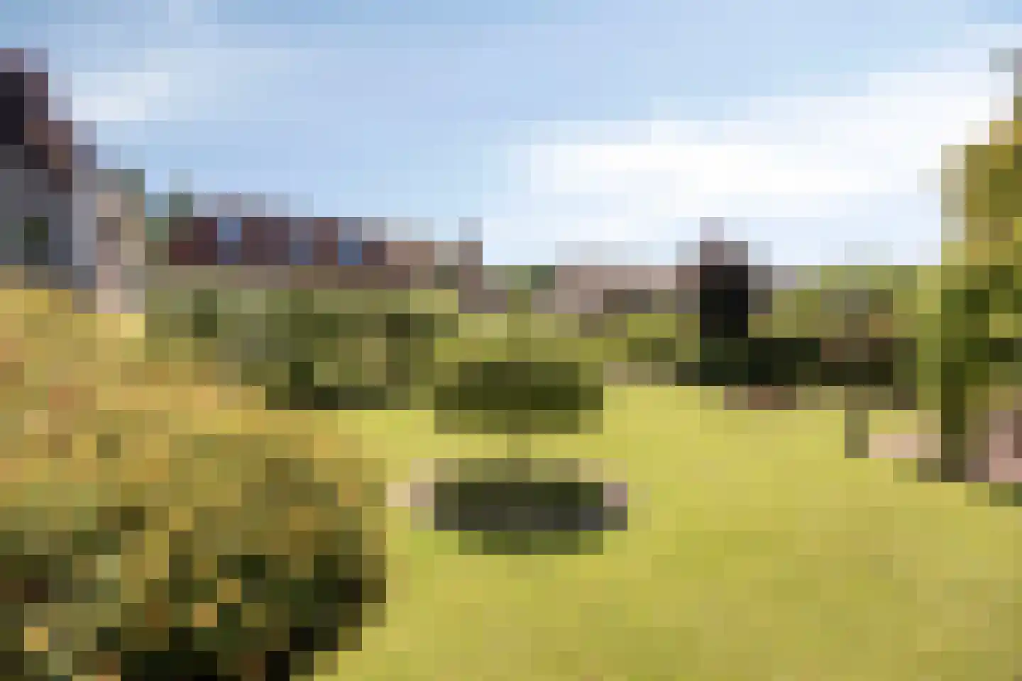 Baron van den Bogaerdelaan 6 Heeswijk-Dinther thumbnail 54