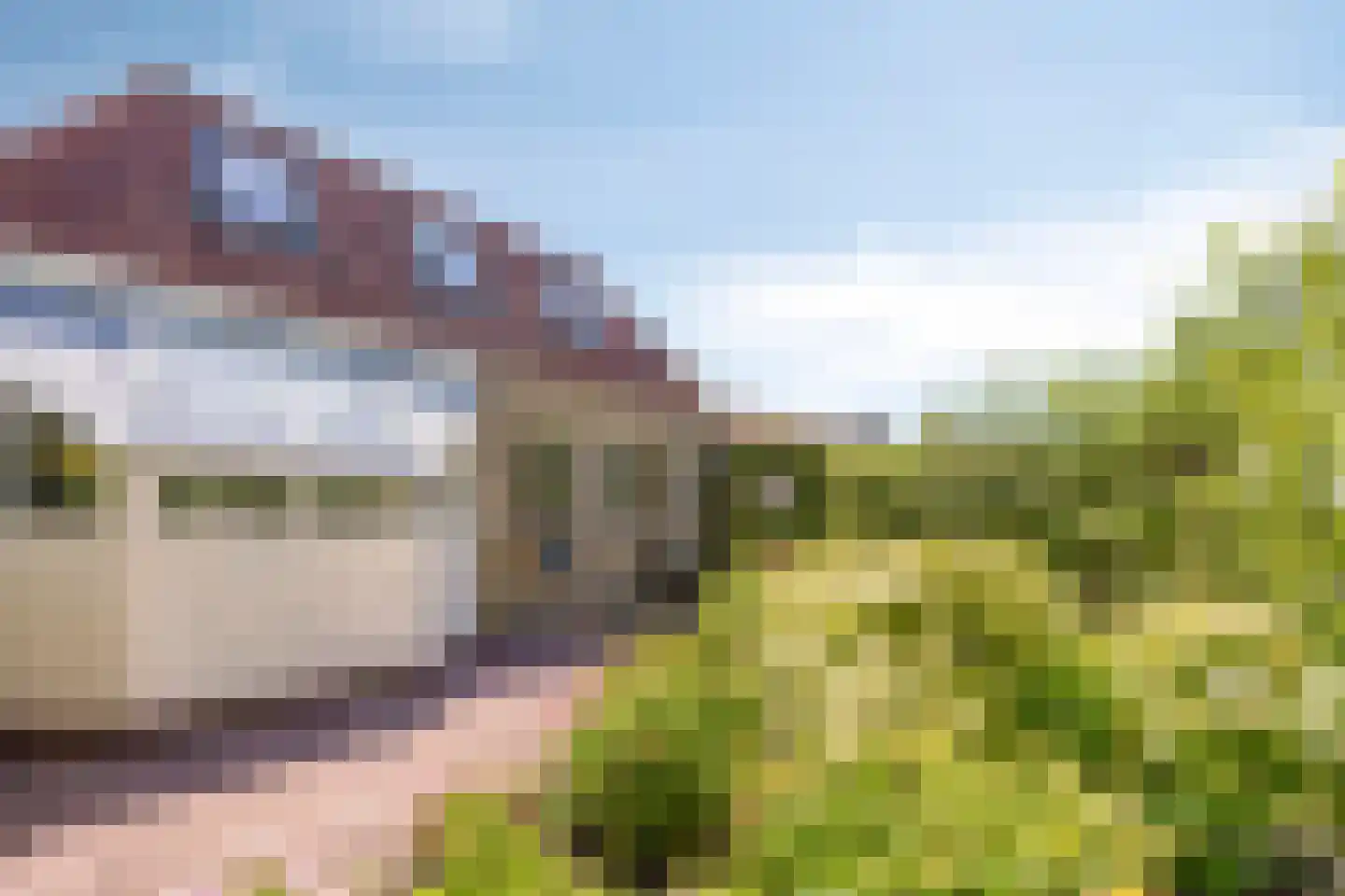 Baron van den Bogaerdelaan 6 Heeswijk-Dinther thumbnail 56