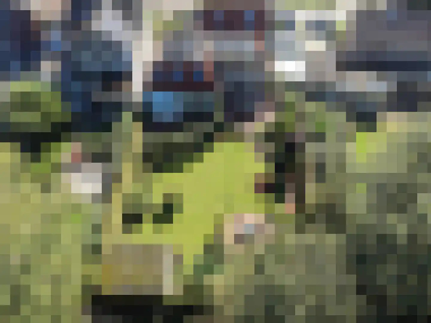 Baron van den Bogaerdelaan 6 Heeswijk-Dinther thumbnail 6