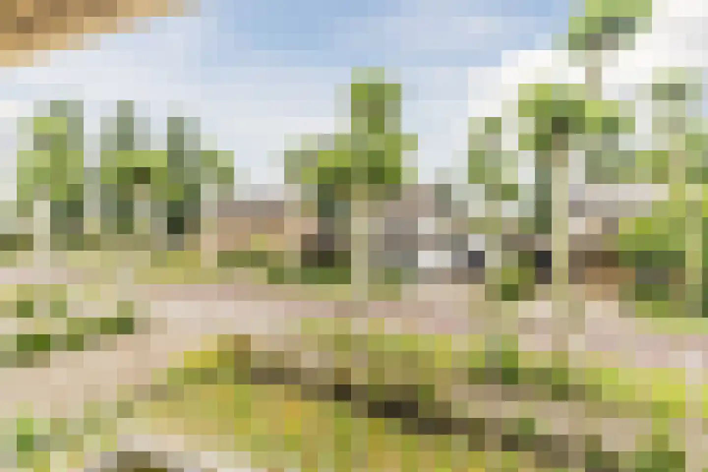 Baron van den Bogaerdelaan 8 Heeswijk-Dinther thumbnail 30