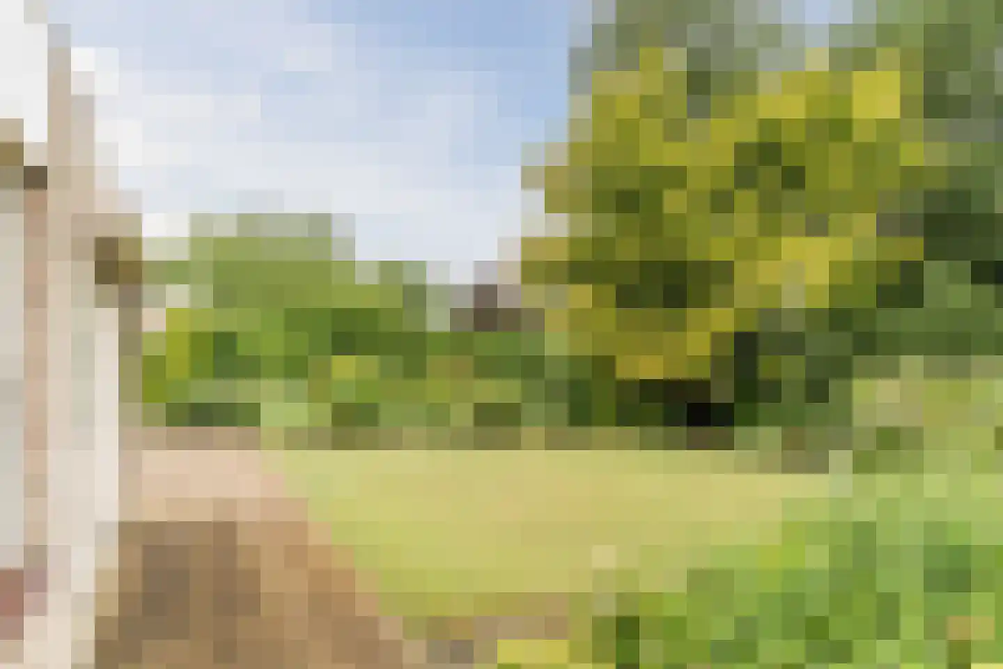 Baron van den Bogaerdelaan 8 Heeswijk-Dinther thumbnail 40