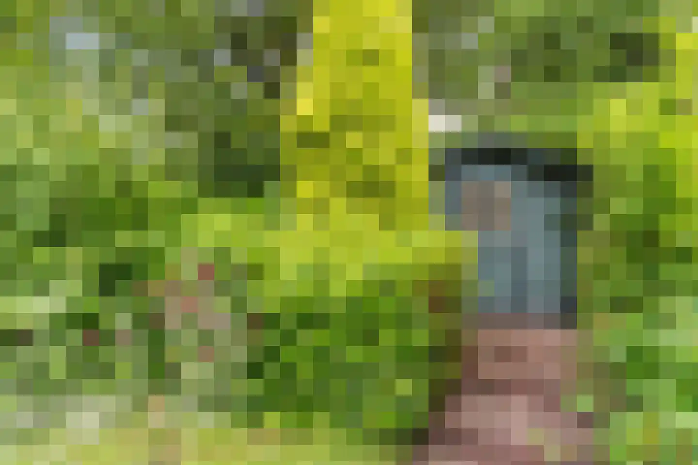 Baron van den Bogaerdelaan 8 Heeswijk-Dinther thumbnail 41