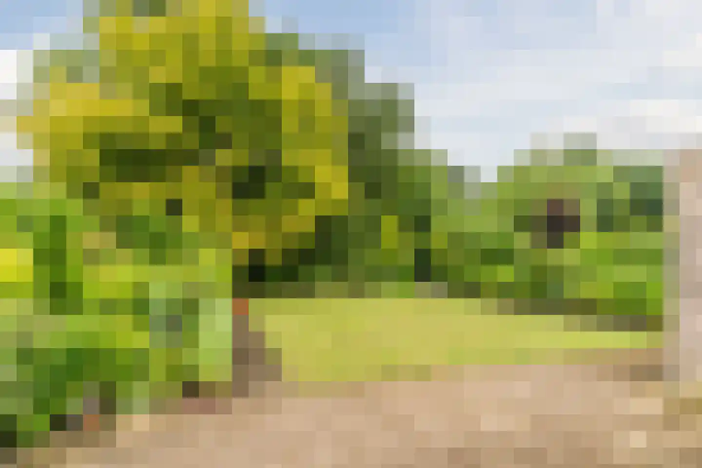 Baron van den Bogaerdelaan 8 Heeswijk-Dinther thumbnail 42