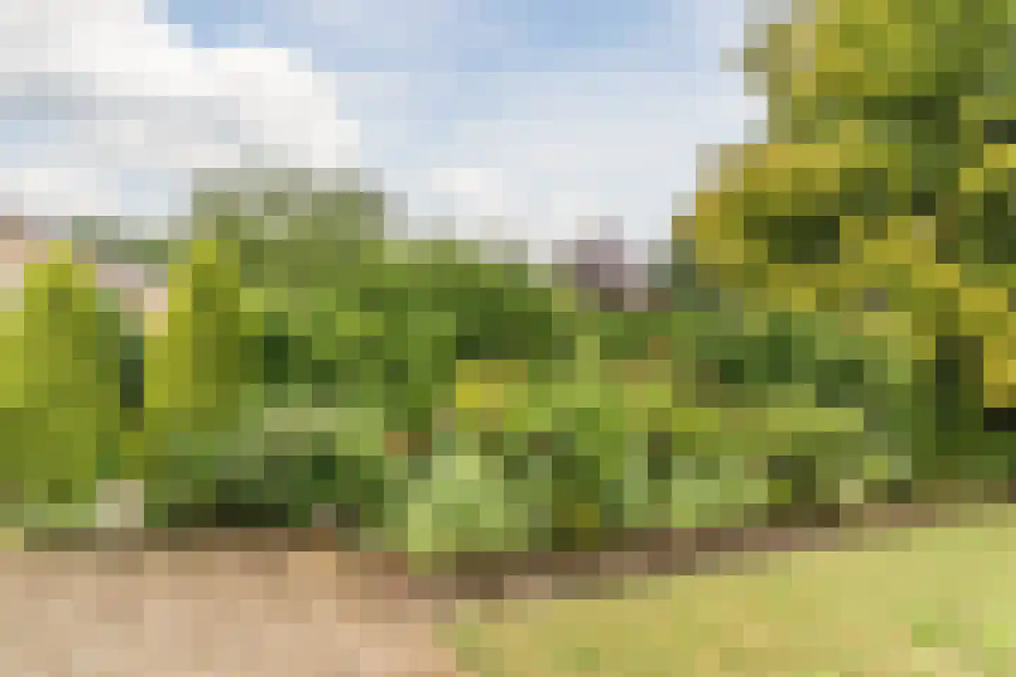 Baron van den Bogaerdelaan 8 Heeswijk-Dinther thumbnail 43