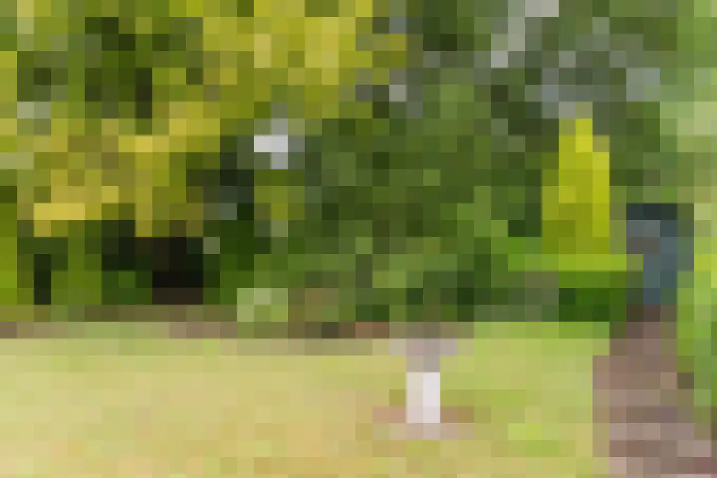 Baron van den Bogaerdelaan 8 Heeswijk-Dinther thumbnail 44
