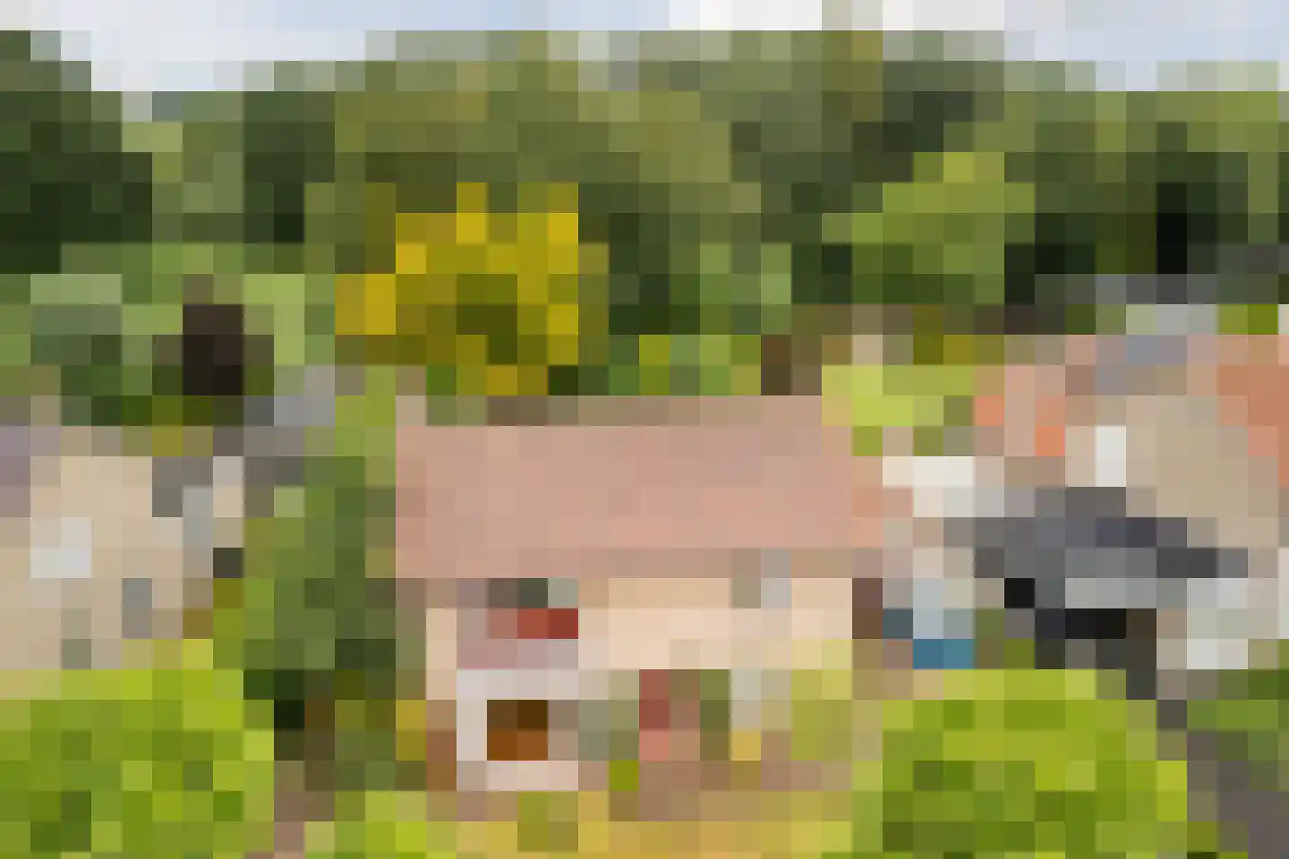 Baron van den Bogaerdelaan 8 Heeswijk-Dinther thumbnail 48
