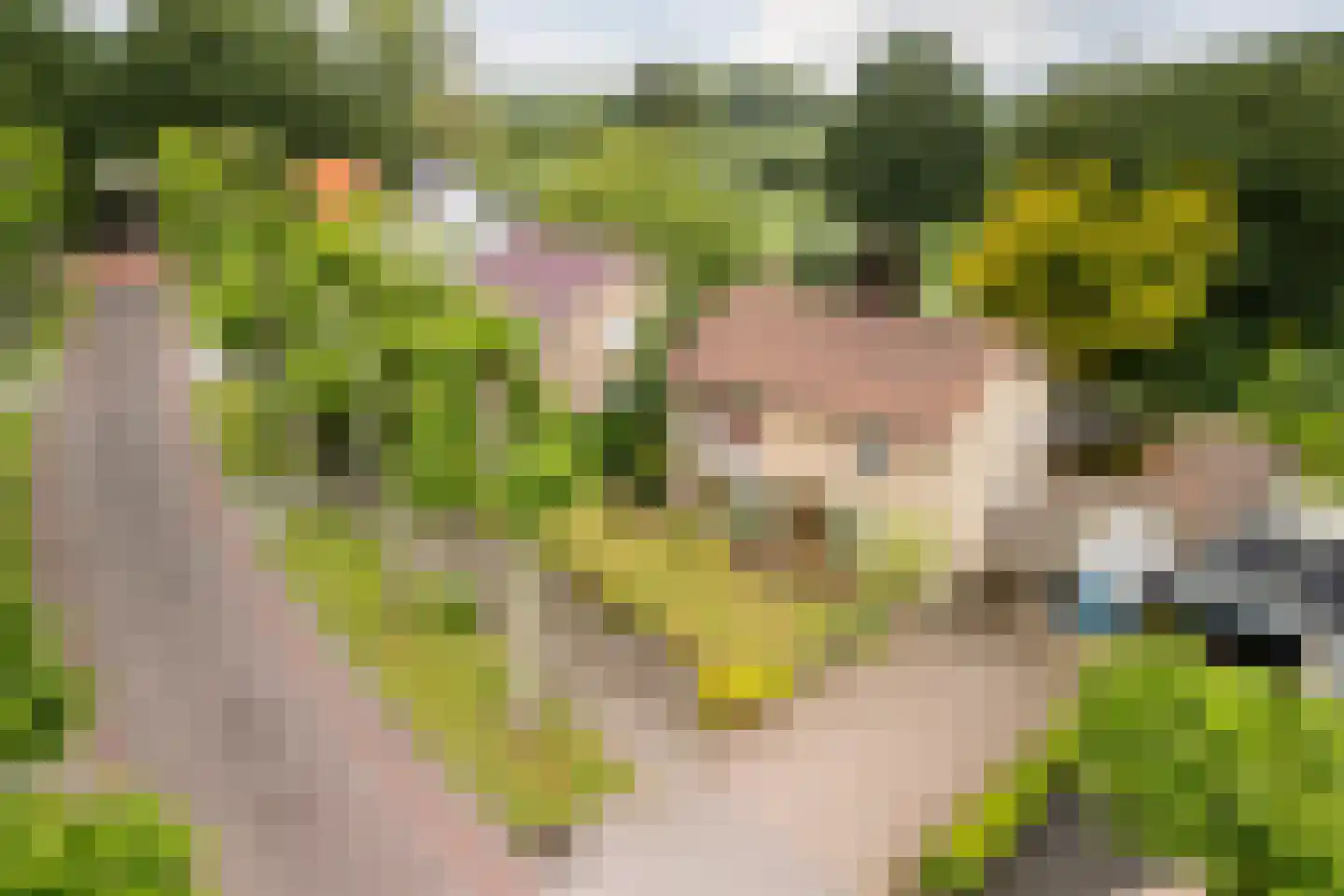 Baron van den Bogaerdelaan 8 Heeswijk-Dinther thumbnail 49