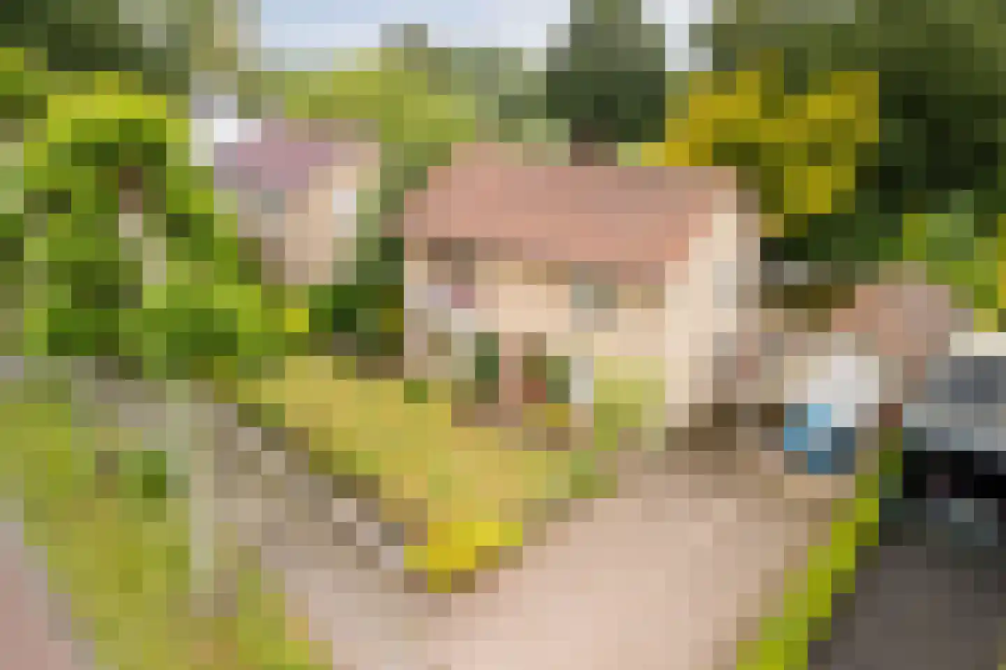 Baron van den Bogaerdelaan 8 Heeswijk-Dinther thumbnail 50