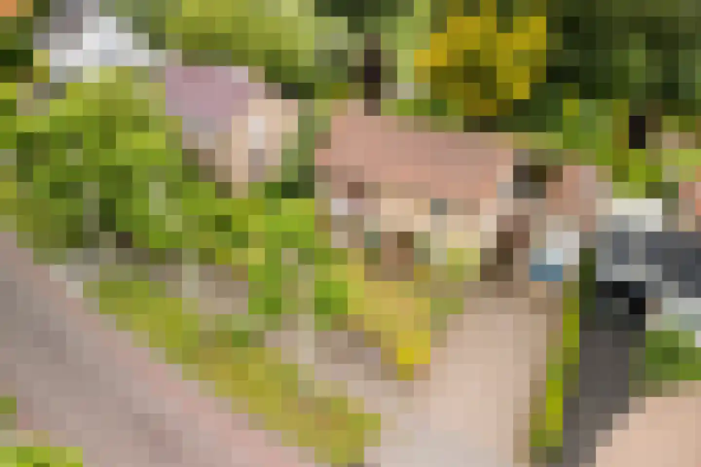 Baron van den Bogaerdelaan 8 Heeswijk-Dinther thumbnail 52