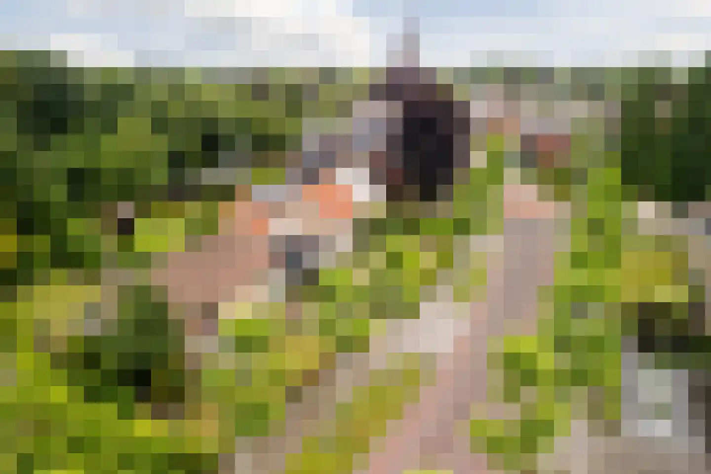Baron van den Bogaerdelaan 8 Heeswijk-Dinther thumbnail 53