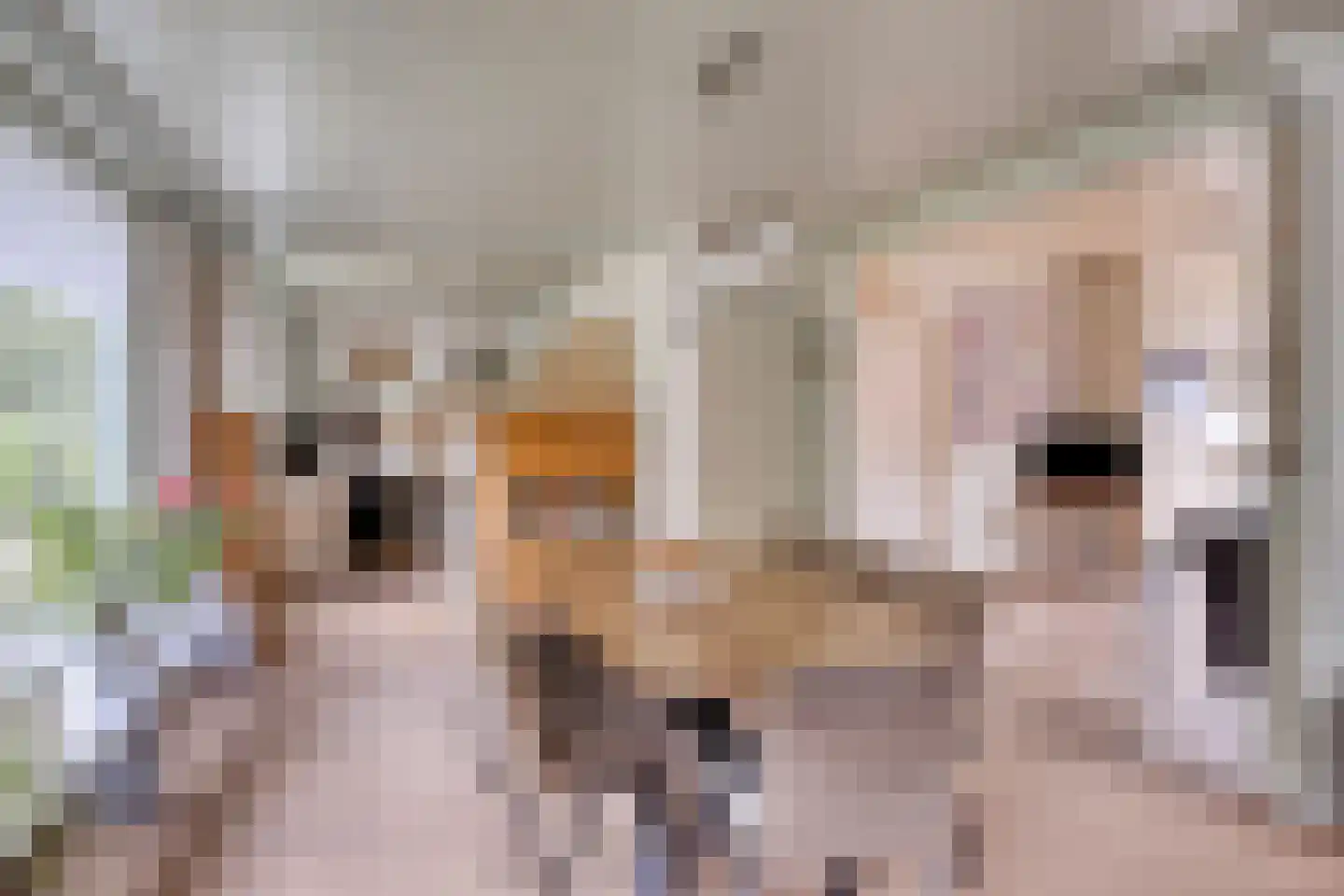 Baron van der Heijdenln 1 B Wichmond thumbnail 18