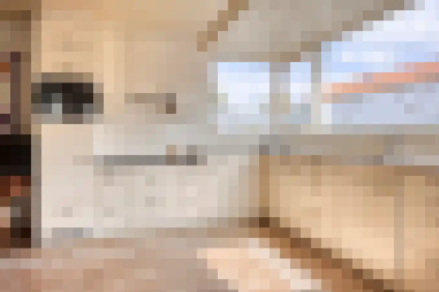 Baron van der Heijdenln 1 B Wichmond thumbnail 26