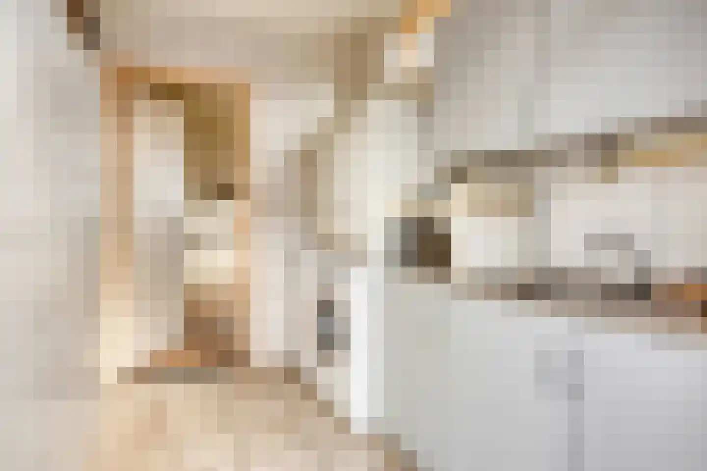 Baron van der Heijdenln 1 B Wichmond thumbnail 28