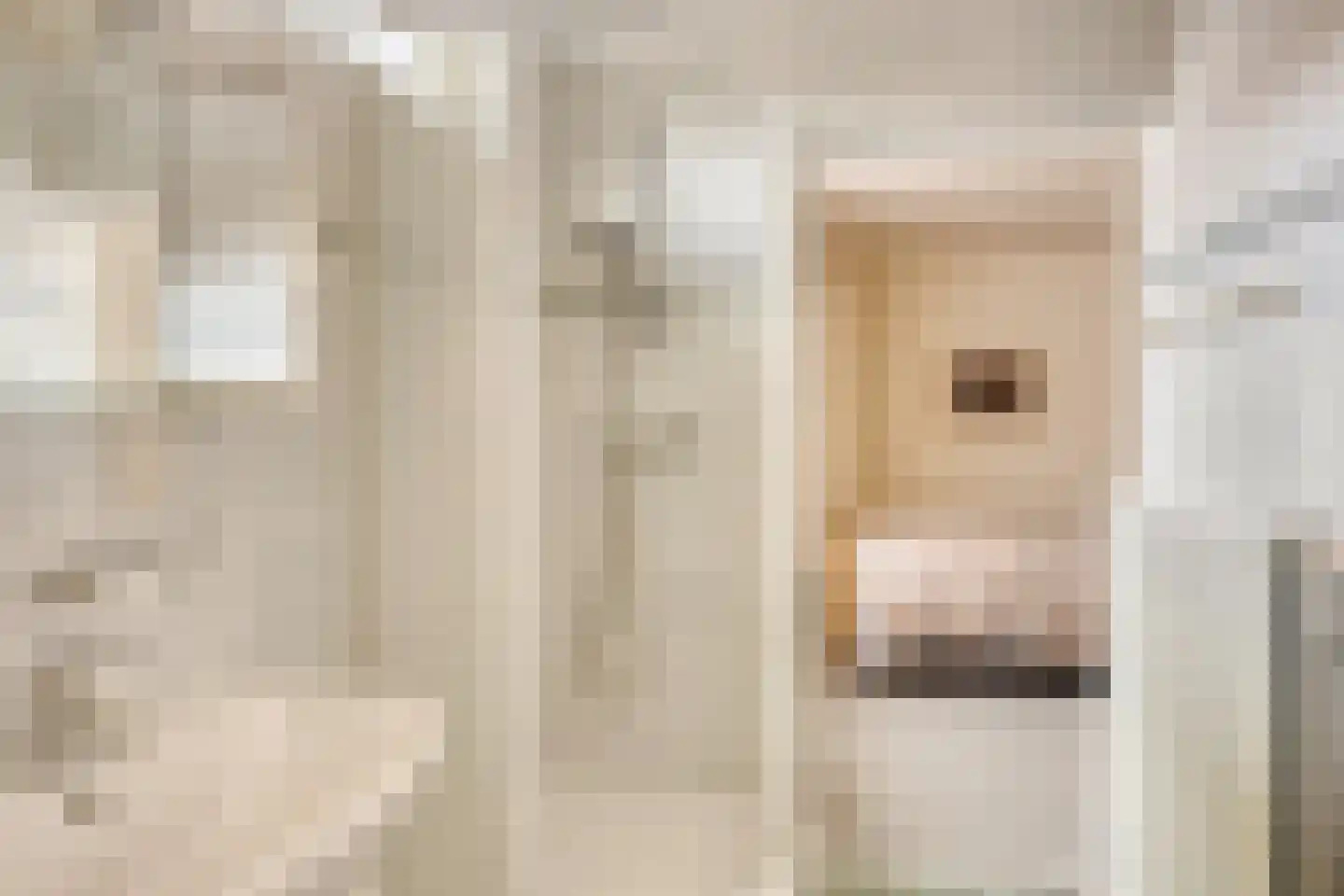 Baron van der Heijdenln 1 B Wichmond thumbnail 33
