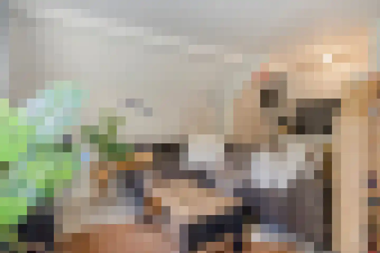 Baron van der Heijdenln 1 B Wichmond thumbnail 42