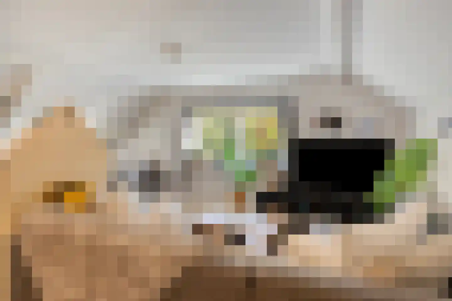 Baron van der Heijdenln 1 B Wichmond thumbnail 45