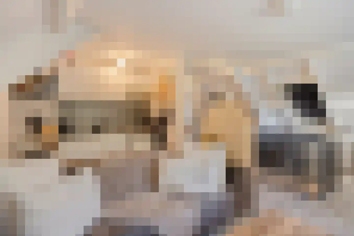 Baron van der Heijdenln 1 B Wichmond thumbnail 46