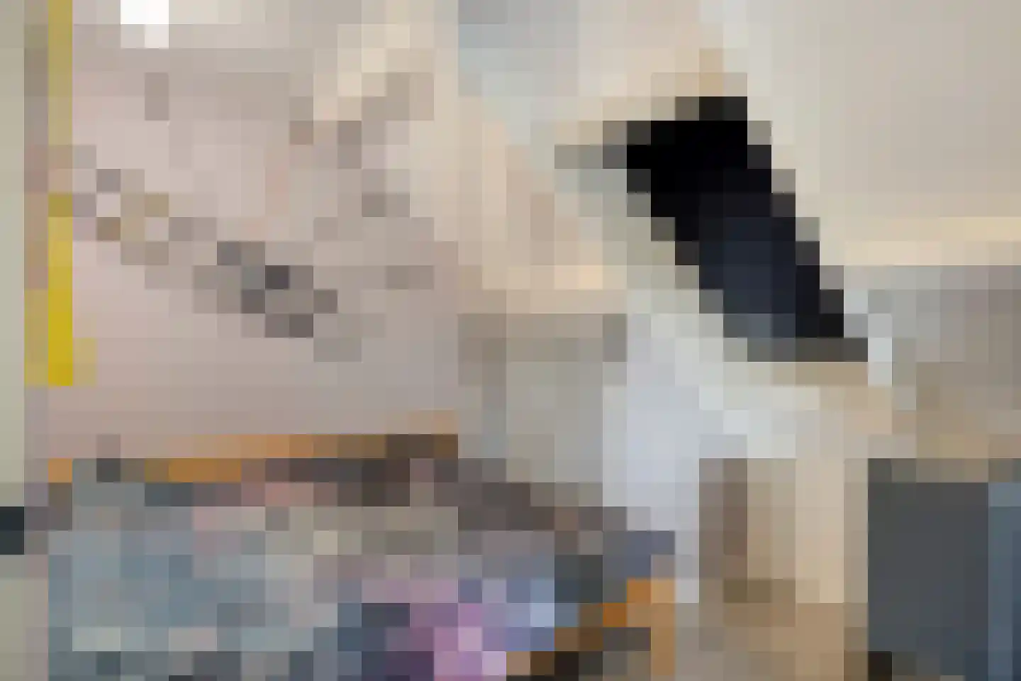 Baron van der Heijdenln 1 B Wichmond thumbnail 48