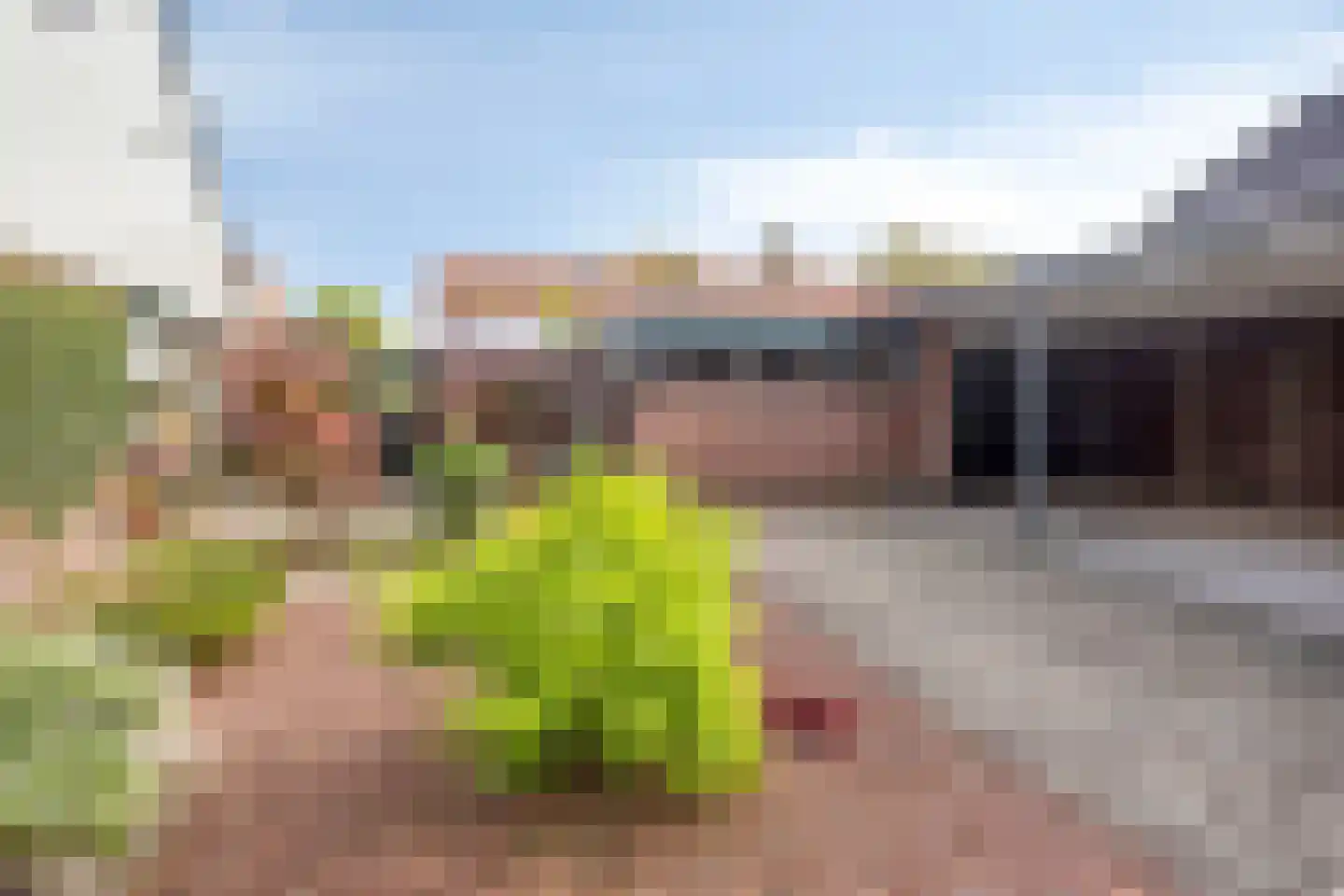 Baron van der Heijdenln 1 B Wichmond thumbnail 58