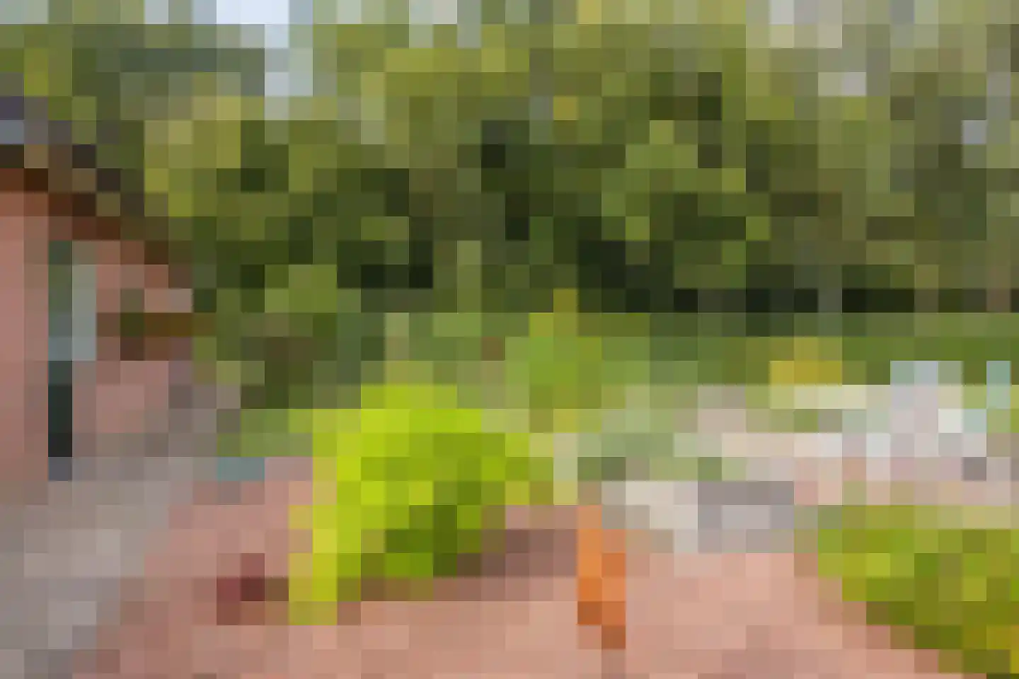 Baron van der Heijdenln 1 B Wichmond thumbnail 60