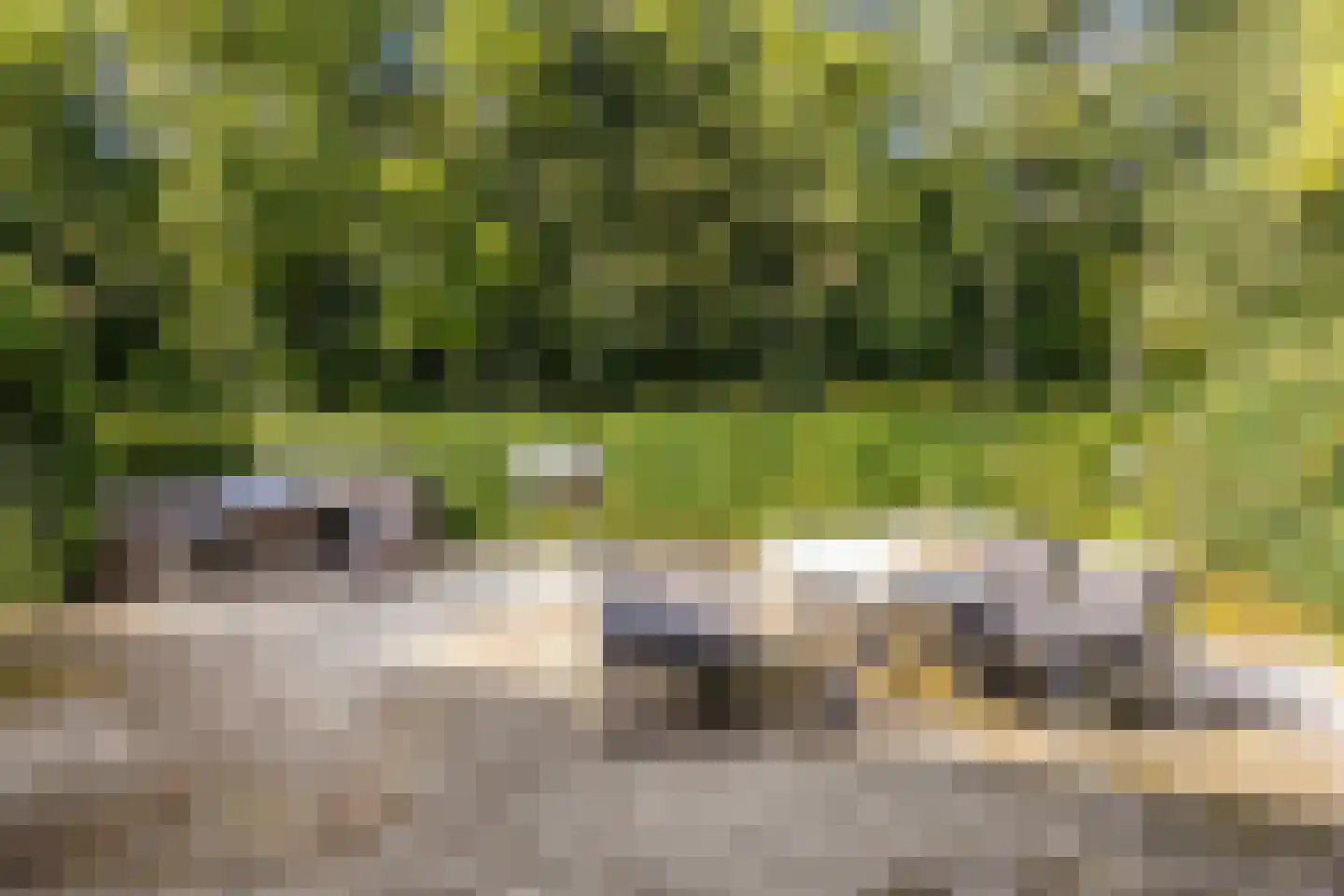 Baron van der Heijdenln 1 B Wichmond thumbnail 66