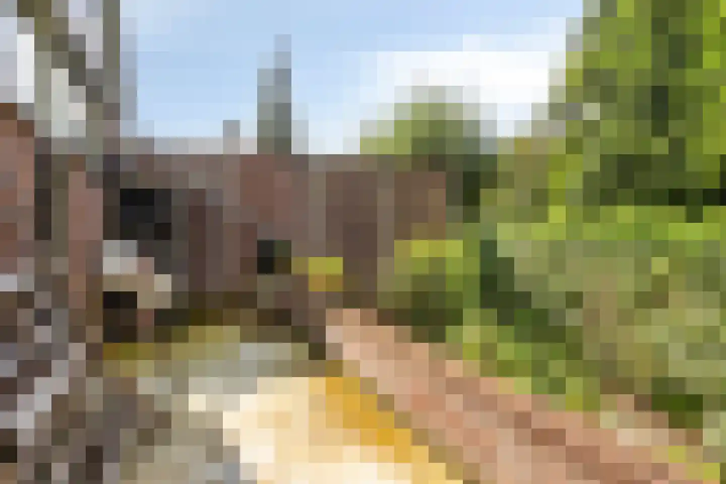 Baron van der Heijdenln 1 B Wichmond thumbnail 69
