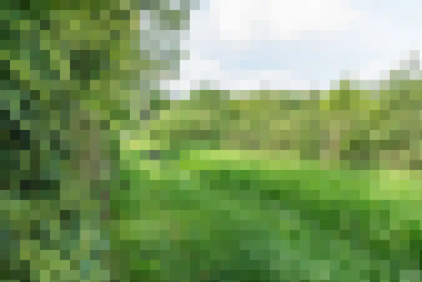 Baron van der Heijdenln 15 Wichmond thumbnail 11