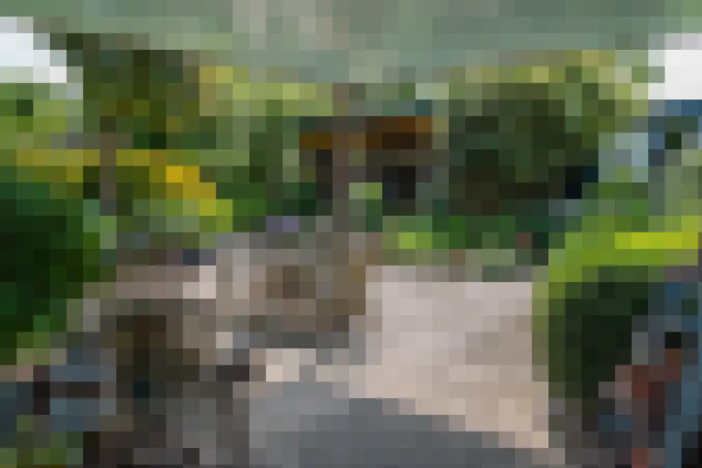 Baron van der Heijdenln 15 Wichmond thumbnail 12