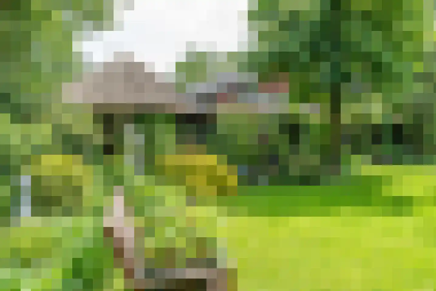 Baron van der Heijdenln 15 Wichmond thumbnail 16