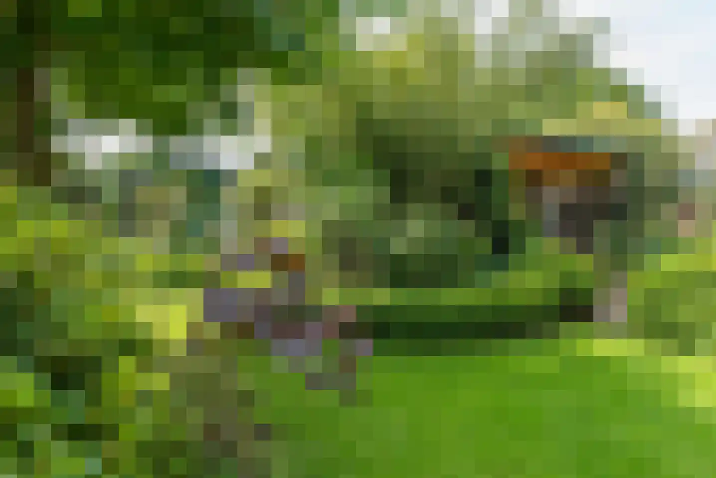 Baron van der Heijdenln 15 Wichmond thumbnail 17