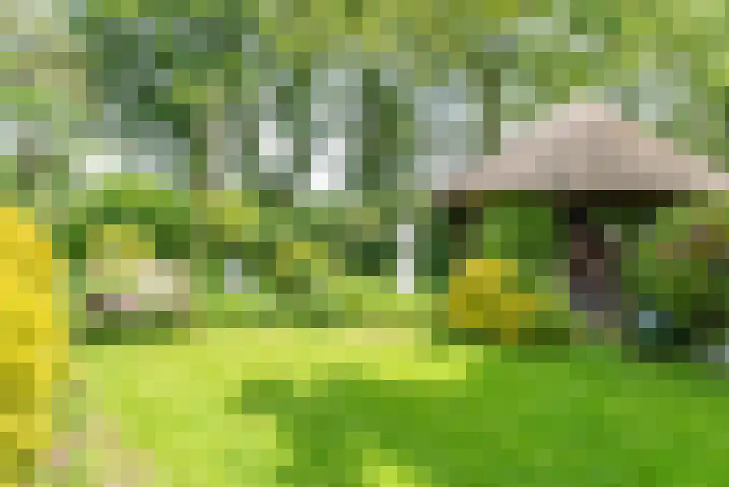 Baron van der Heijdenln 15 Wichmond thumbnail 18