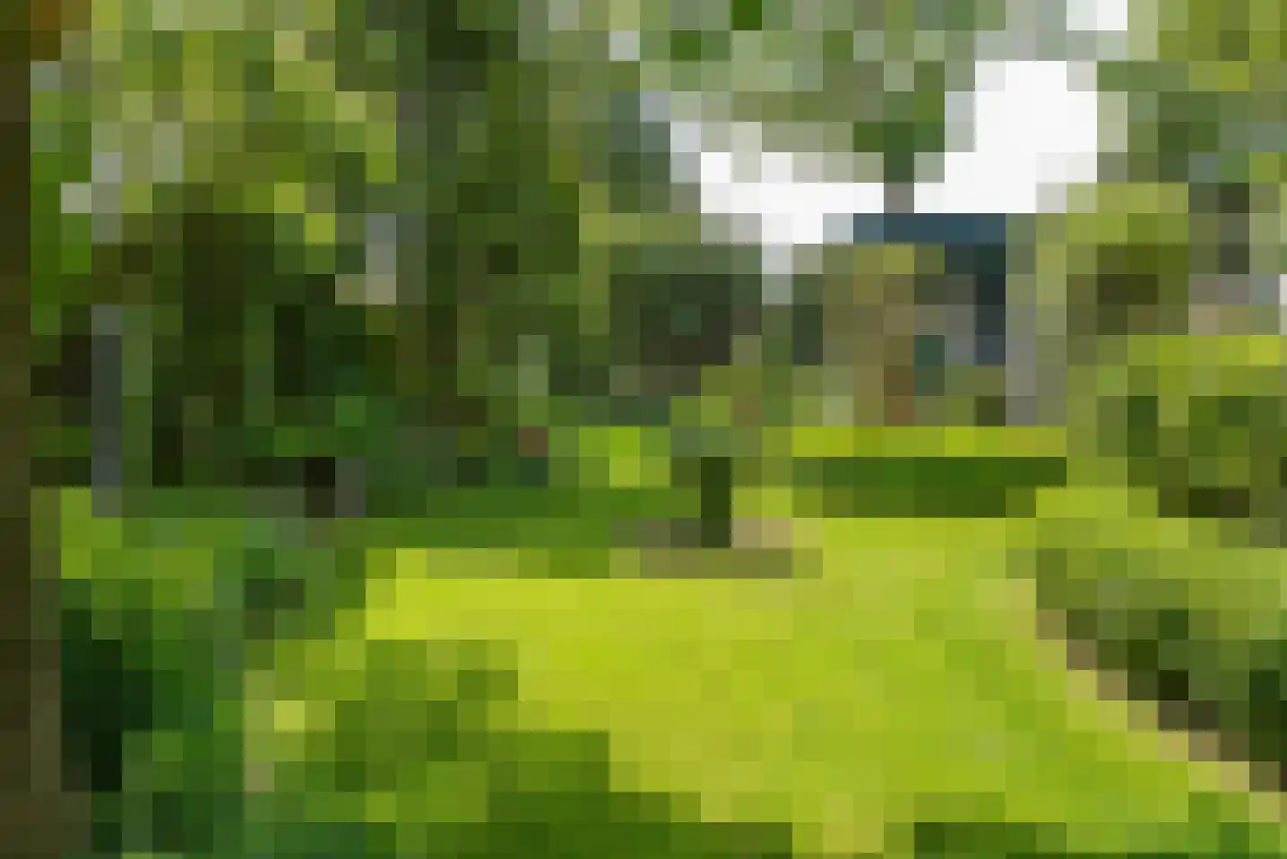 Baron van der Heijdenln 15 Wichmond thumbnail 19