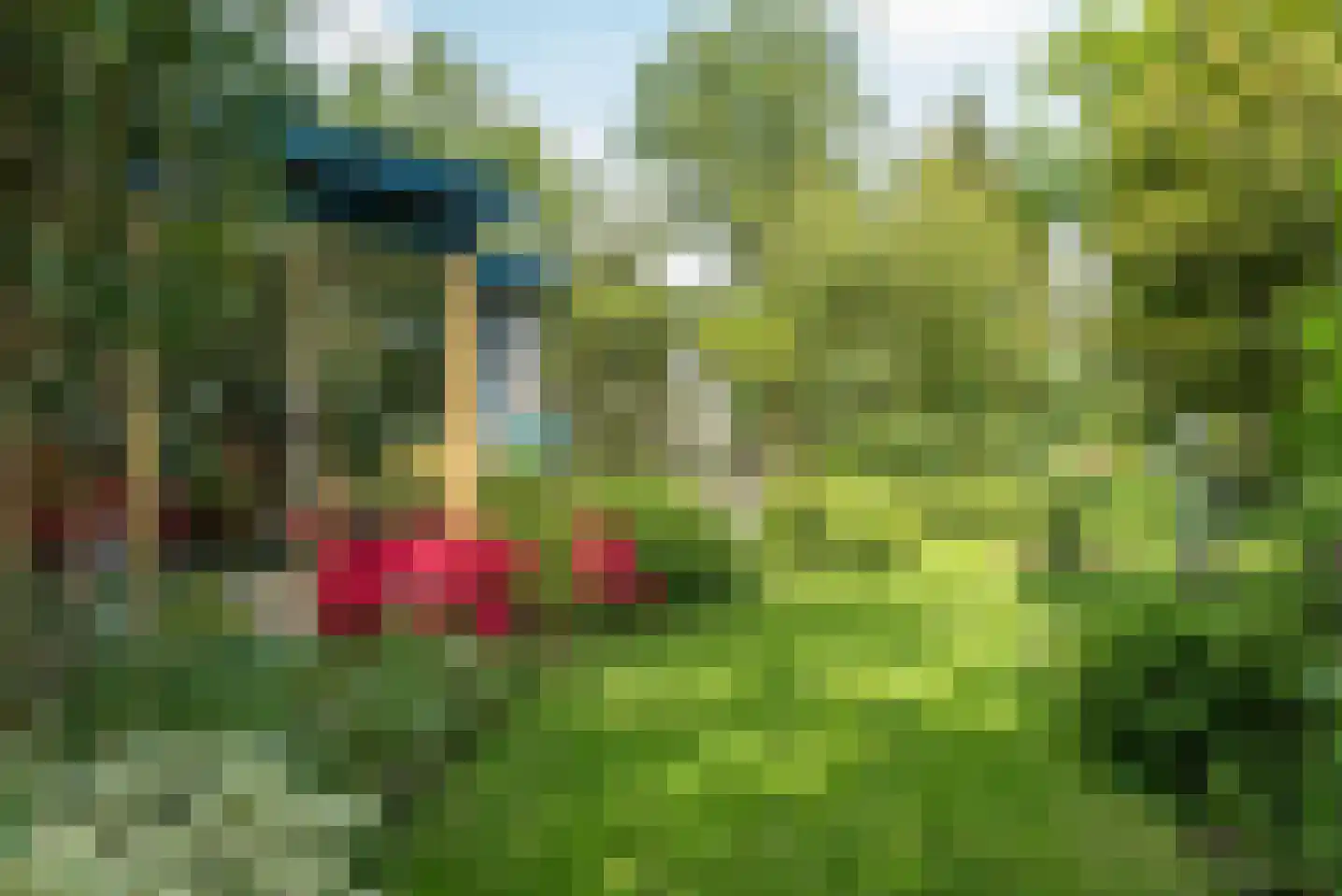 Baron van der Heijdenln 15 Wichmond thumbnail 20
