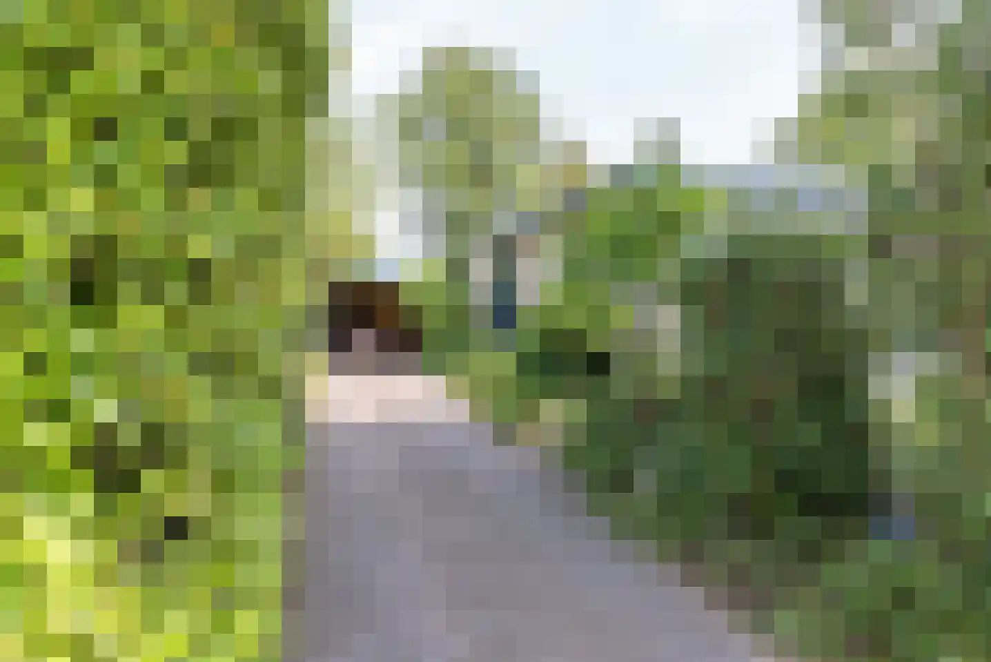 Baron van der Heijdenln 15 Wichmond thumbnail 6